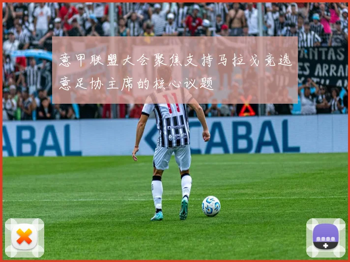 意甲联盟大会聚焦支持马拉戈竞选意足协主席的核心议题